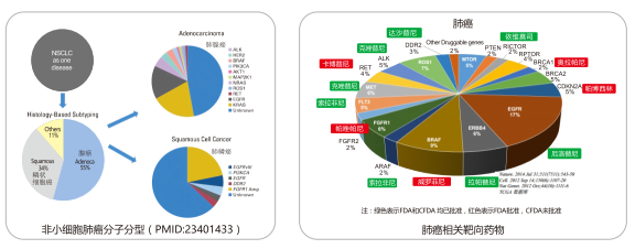 mg冰球突破·豪华版(试玩)官方网站