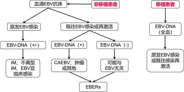 mg冰球突破·豪华版(试玩)官方网站