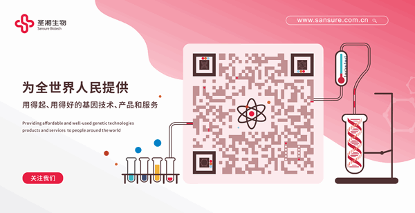 mg冰球突破·豪华版(试玩)官方网站